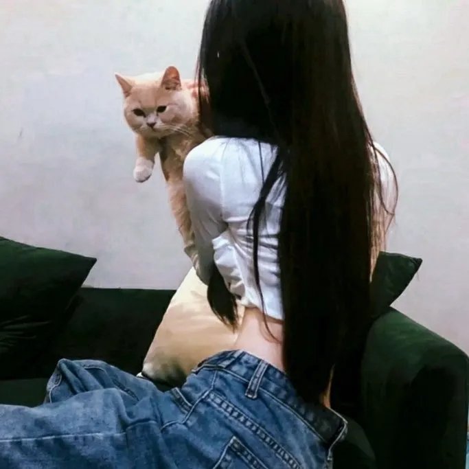 既然出生就环游音乐