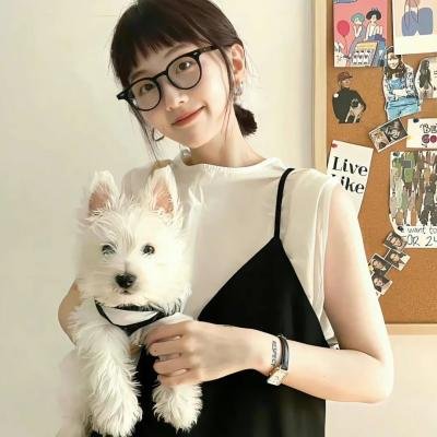 赌档家族